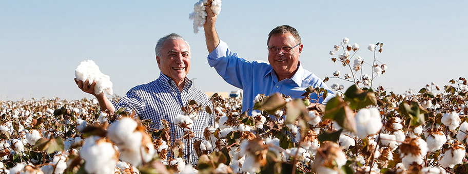 Präsident Michel Temer und Landwirtschaftsminister Blairo Maggi: lassen aus Anlass des Baumwollerntebeginns ein werbeträchtiges Foto von sich machen.