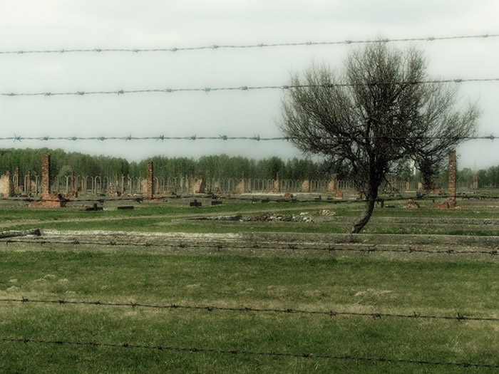 Auschwitz / Birkenau