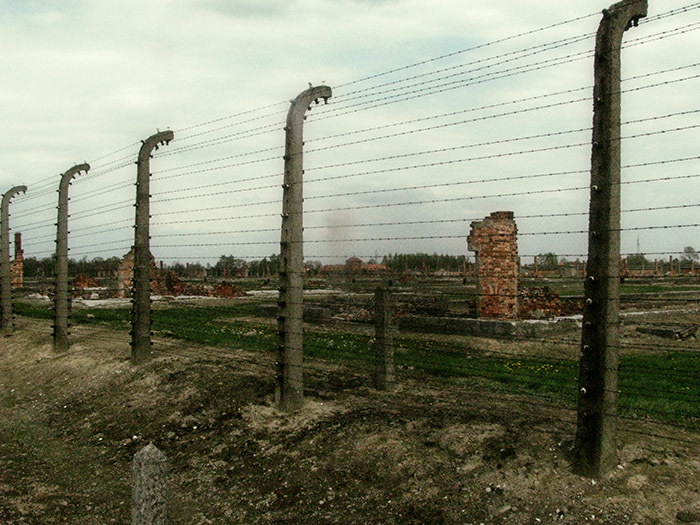 Auschwitz / Birkenau