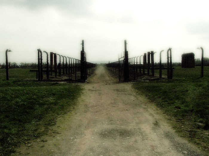 Auschwitz / Birkenau