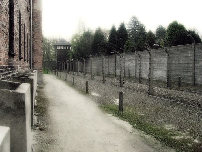 Auschwitz / Birkenau