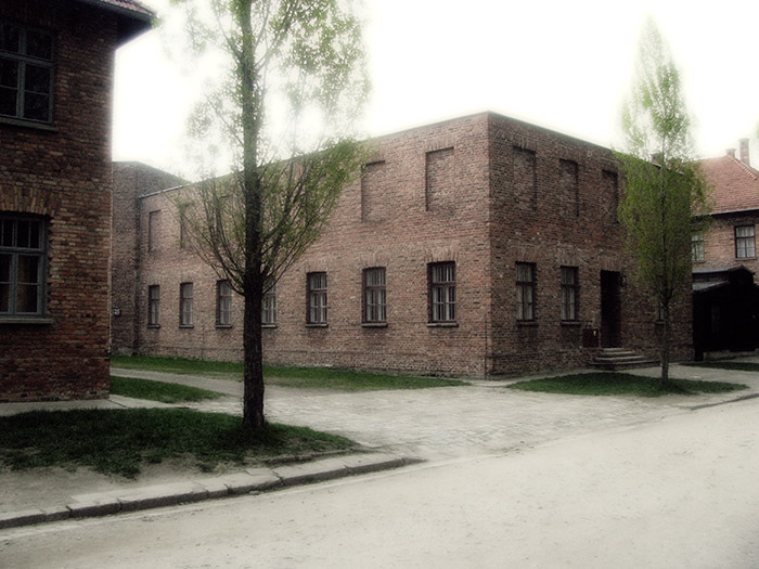 Auschwitz / Birkenau