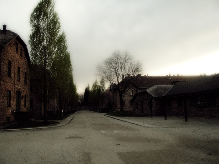 Auschwitz / Birkenau