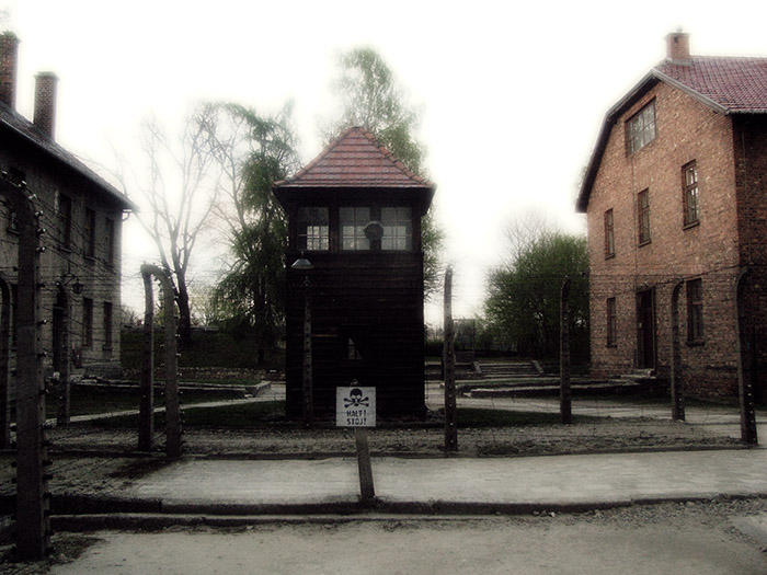 Auschwitz / Birkenau