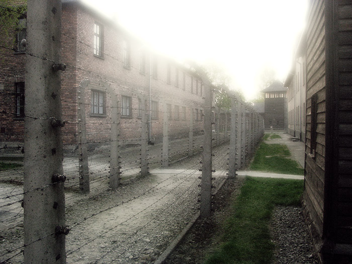 Auschwitz / Birkenau