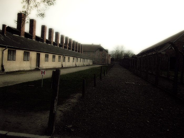 Auschwitz / Birkenau