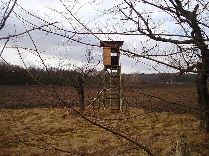 Hochstände in Deutschland