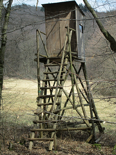 Hochstände in Deutschland