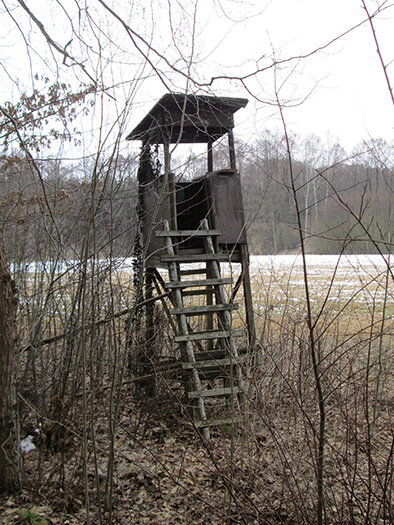 Hochstände in Deutschland