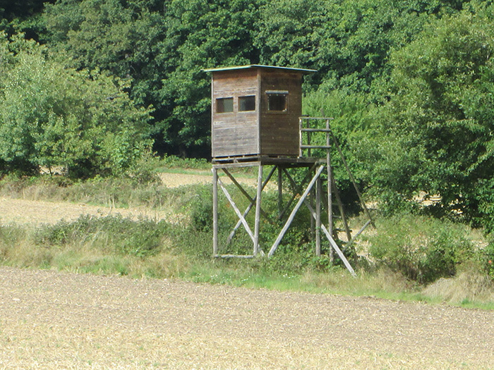 Hochstände in Deutschland