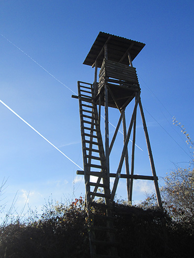 Hochstände in Deutschland