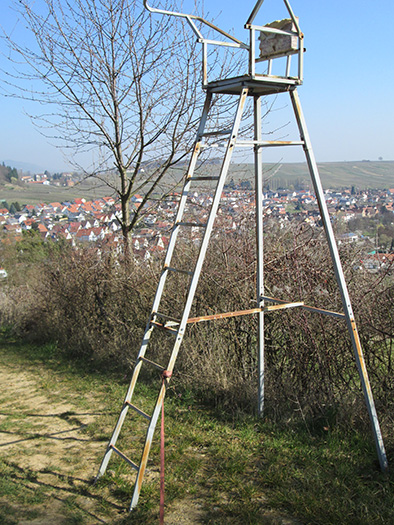 Hochstände in Deutschland