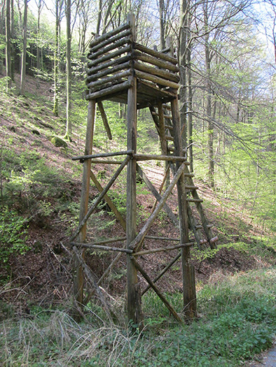 Hochstände in Deutschland