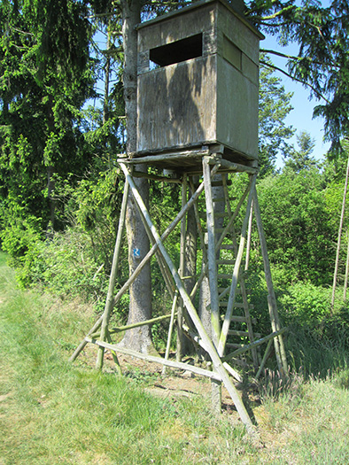 Hochstände in Deutschland