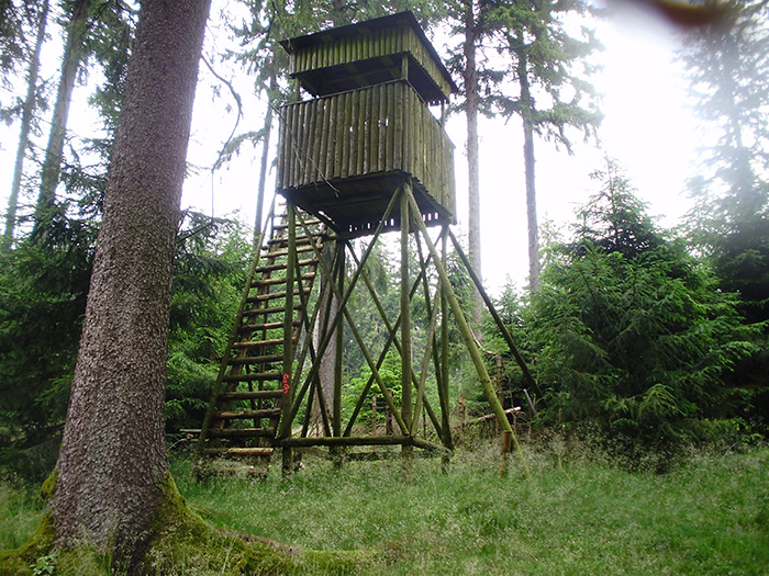 Hochstände in Deutschland