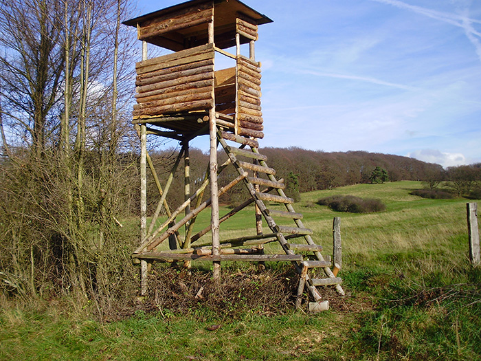 Hochstände in Deutschland