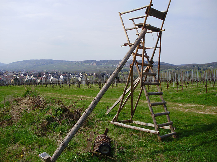 Hochstände in Deutschland