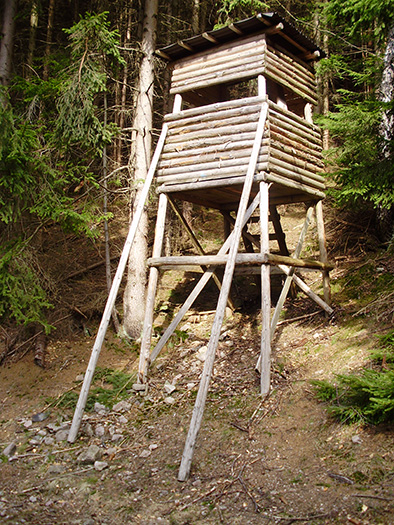 Hochstände in Deutschland