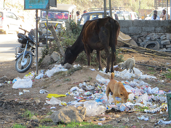 Impressionen aus Mumbai