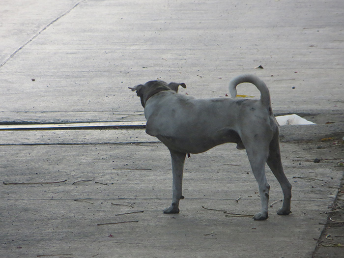 Impressionen aus Mumbai