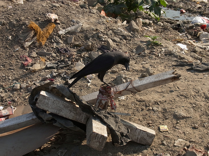 Slums in Kalkutta