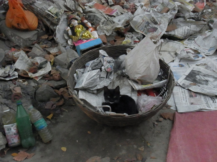 Slums in Kalkutta
