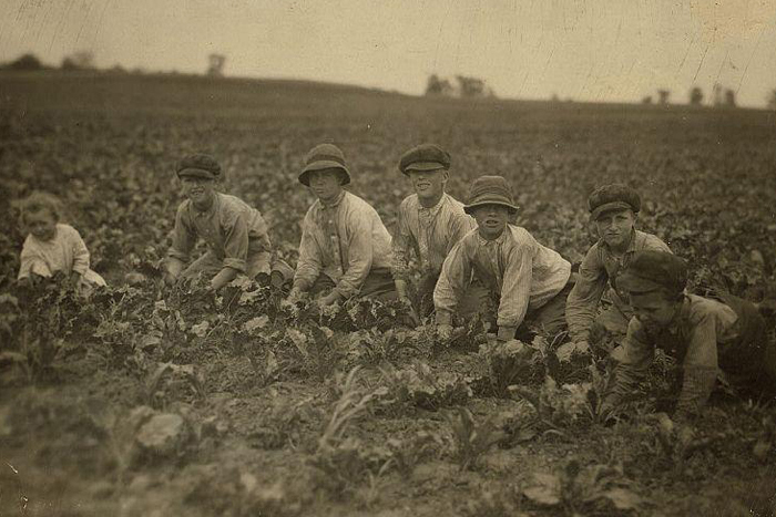 Kinderarbeit in den USA