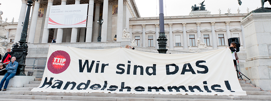 Am 11. Oktober 2014 fand eine Demo gegen TTIP und CETA in der Wiener Innenstadt statt.