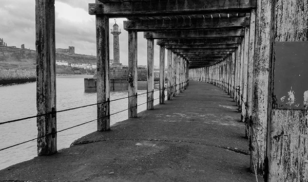 Die menschliche Solidarität und das egoistische Gen.