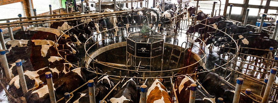 Ein Melkkarussel bei Hemme Milch Wedemark in Niedersachsen, Deutschland.