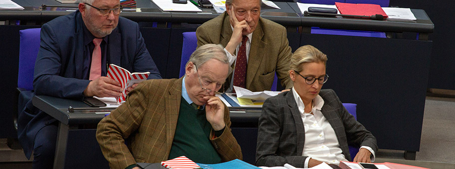 AfD-Bundestagsfraktion, während einer Plenarsitzung im Bundestag am 11. April 2019 in Berlin.