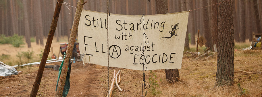 Monibleibt Occupied Seehausener Forest.