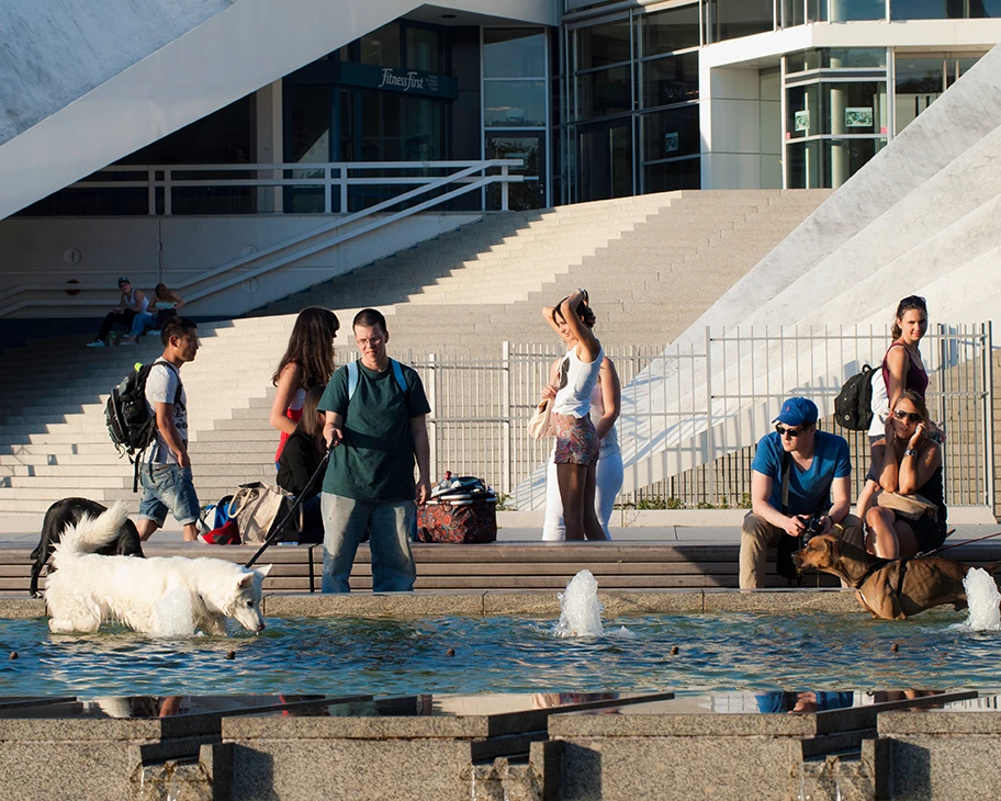 Weiss Gott: Realos und Spontis stehen sich schwerbewaffnet gegenüber