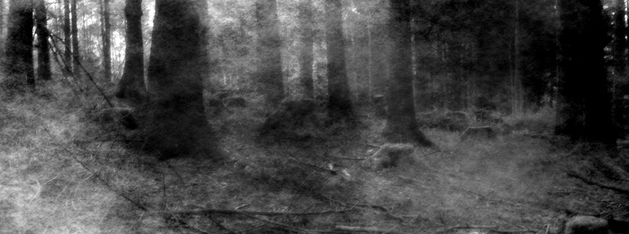Blair Witch Project.