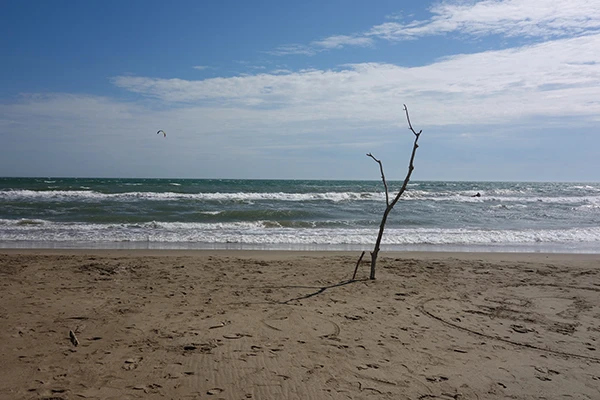 Kurd Adler. Zum 100. Todestag eines Vergessenen.