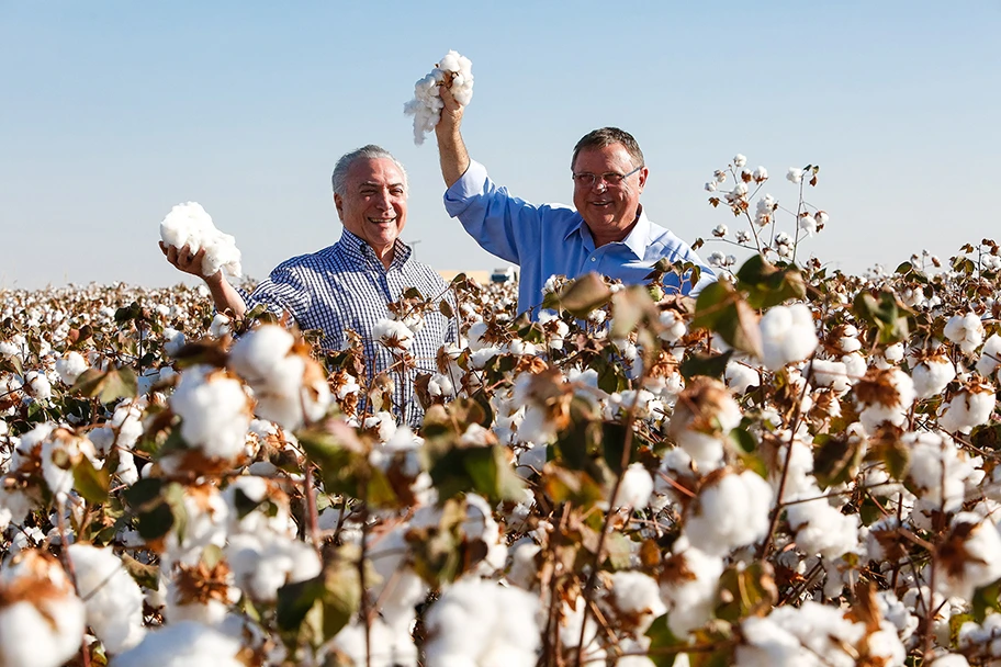 Präsident Michel Temer und Landwirtschaftsminister Blairo Maggi: lassen aus Anlass des Baumwollerntebeginns ein werbeträchtiges Foto von sich machen.