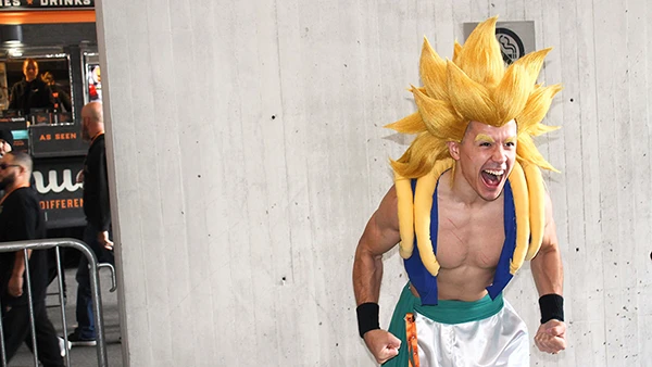 Dragonball Z bridge.