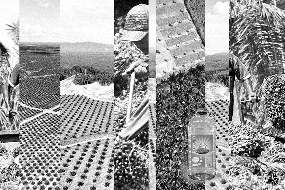 Mehrschichtige Collage: Luftaufnahmen von Palmölplantagenrastern; Hände, Köpfe und Werkzeuge von Palmölplantagenarbeiter*innen, die in diesen Rastern gefangen sind; Plastikflasche eines Palmölplantagenprodukts: Sonnenblumenöl.
