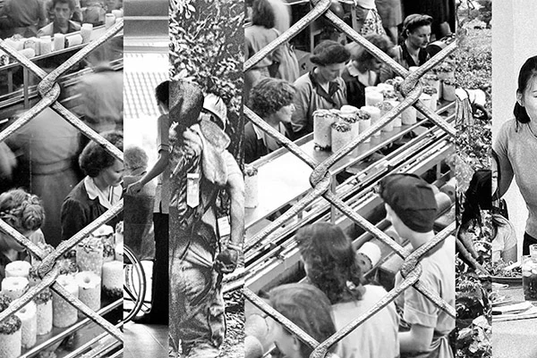 Mehrschichtige Collage: Arbeiterinnen in einer Ananasfabrik, überlagert von einem Metallzaun; zwischenschnittene und ineinandergreifende Bilder einer Altenpflegerin, eines Waldarbeiters, Landarbeiterinnen und einer Mutter.