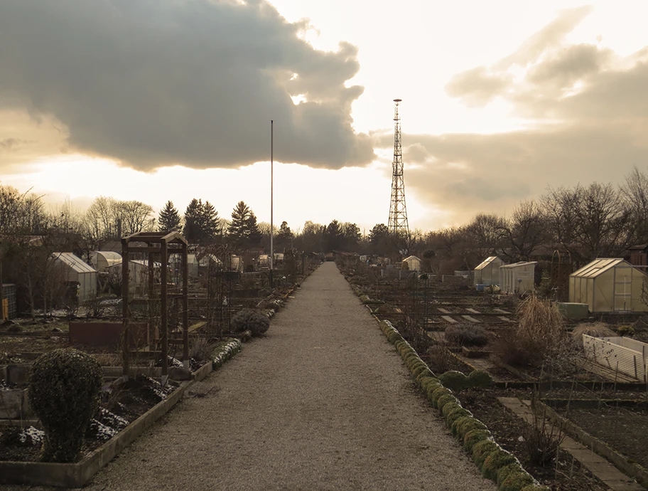 Pandemie, Politik und Solidarische Landwirtschaft.