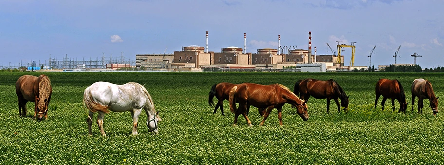Kernkraftwerk Balakowo in Russland mit Block eins bis fünf, im Vordergrund des Bildes einige Pferde.