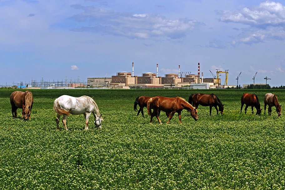 Kernkraftwerk Balakowo in Russland mit Block eins bis fünf, im Vordergrund des Bildes einige Pferde.