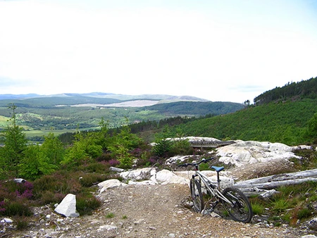 Heissgebremste Mountainbikes an Pfingsten.