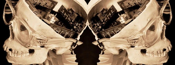 Algorithmen beeinflussen einen immer grösseren Teil des Lebens. Künstliche Intelligenz hat damit das Potential, existierende Vorurteile zu verstärken.