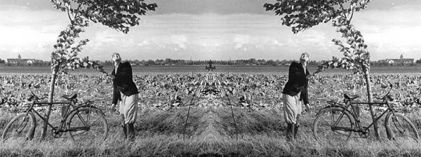 Offener Brief an die Cousine.