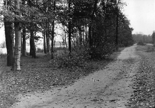 Herbststimmung an der Spree in dem von Ruth Werner geliebten Teptower Plänterwald.