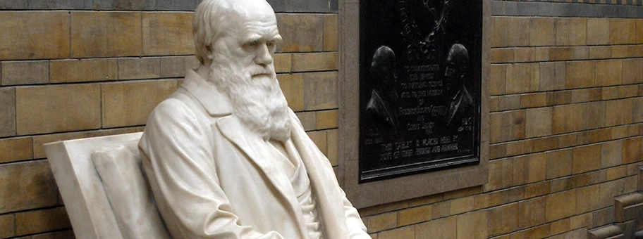 Statue von Charles Darwin im naturhistorischen Museum von London.