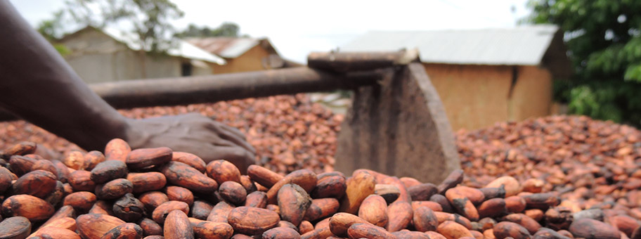 Kakaoproduktion in der Côte d'Ivoire.