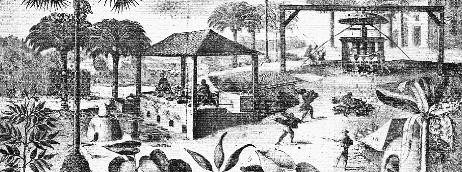 Zuckerproduktion im 19. Jahrhundert in Saint-Domingue auf Haiti.