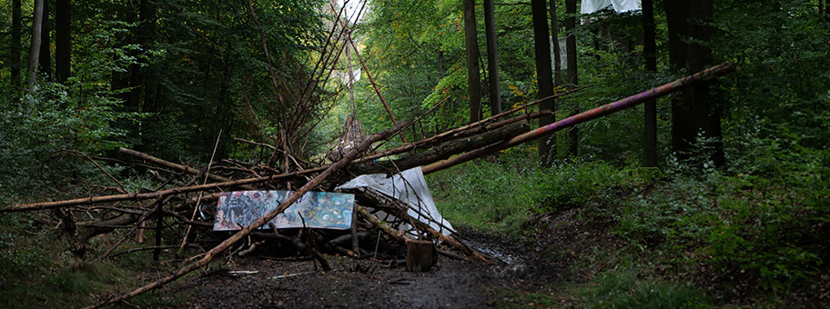 Besetzung des Dannenröder Forsts bei Marburg mit Baumhäusern als Protest gegen den Bau der A49 durch den Wald am 8. Oktober 2020.
